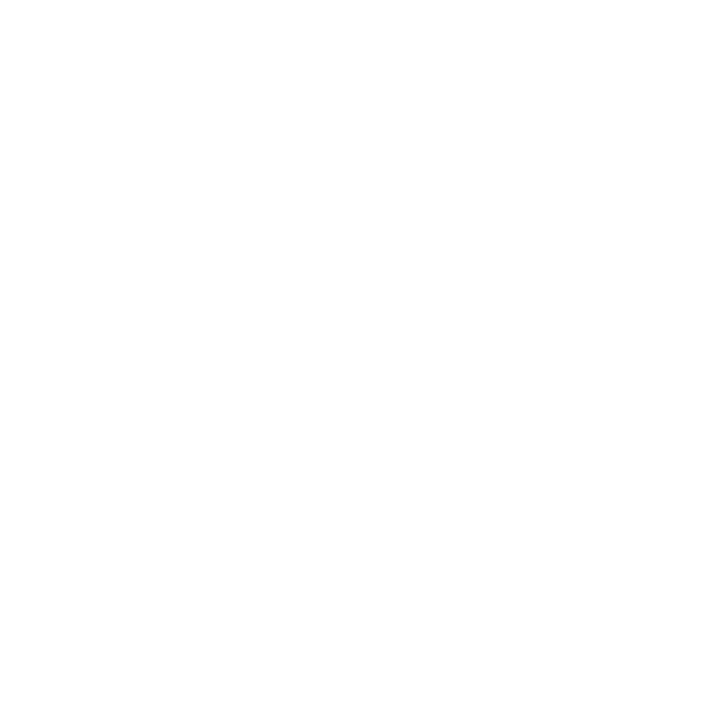 WE THE LEFTY